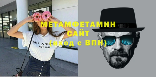 шишки Гусев