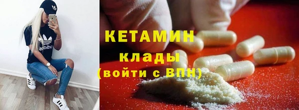 шишки Гусев