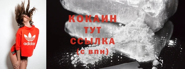 шишки Гусев
