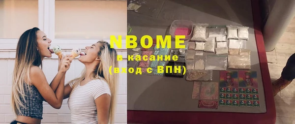 шишки Гусь-Хрустальный