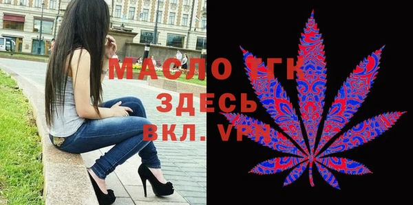 шишки Гусев