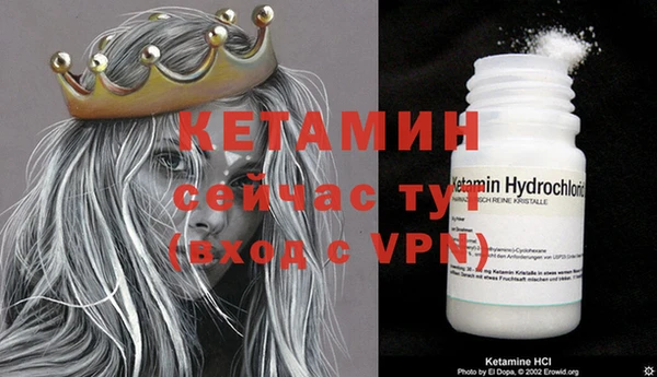 шишки Гусев