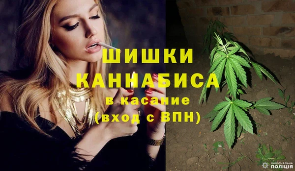 шишки Гусев