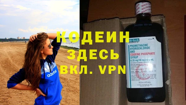 шишки Гусев