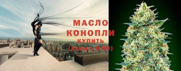 шишки Гусев
