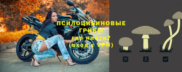 шишки Гусев
