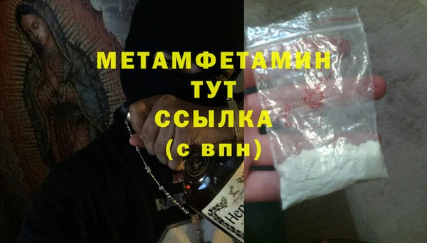 шишки Гусев