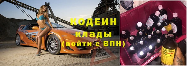 шишки Гусь-Хрустальный